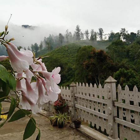 Village Nest 埃拉 外观 照片