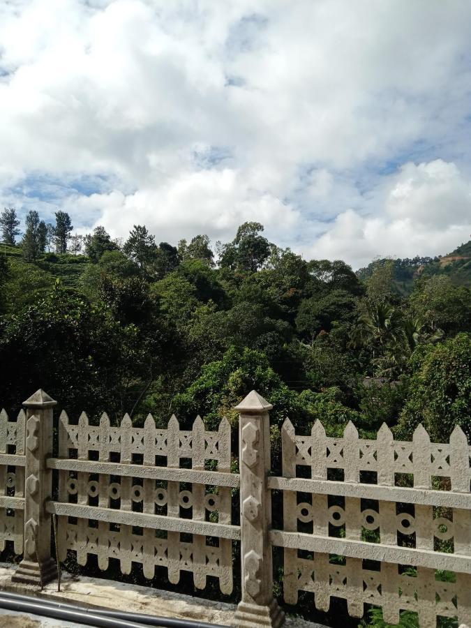 Village Nest 埃拉 外观 照片