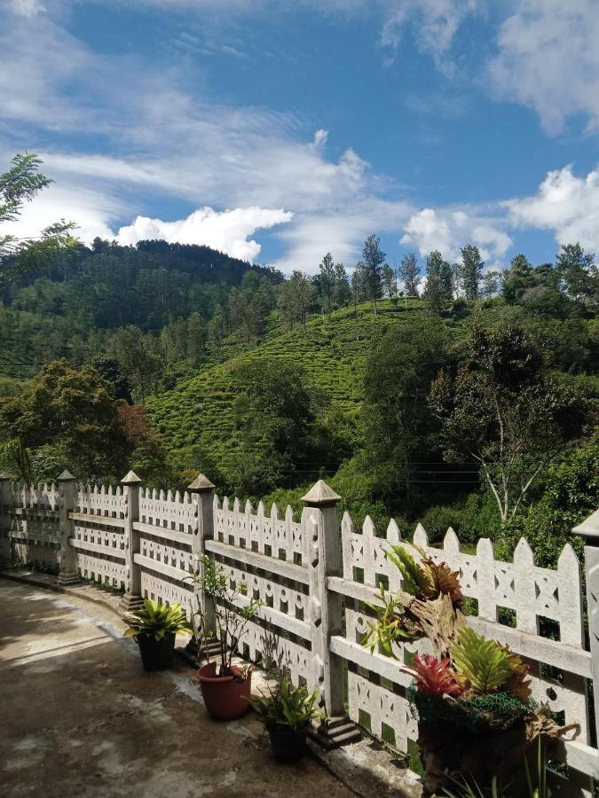 Village Nest 埃拉 外观 照片