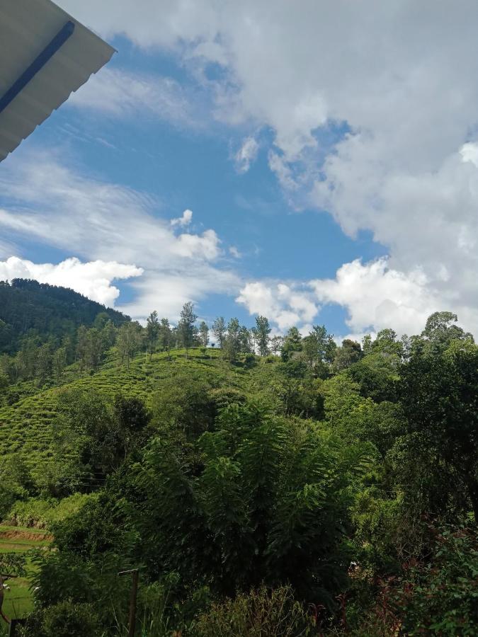 Village Nest 埃拉 外观 照片