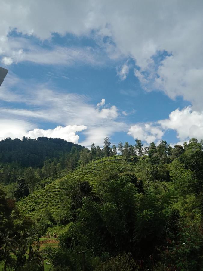 Village Nest 埃拉 外观 照片