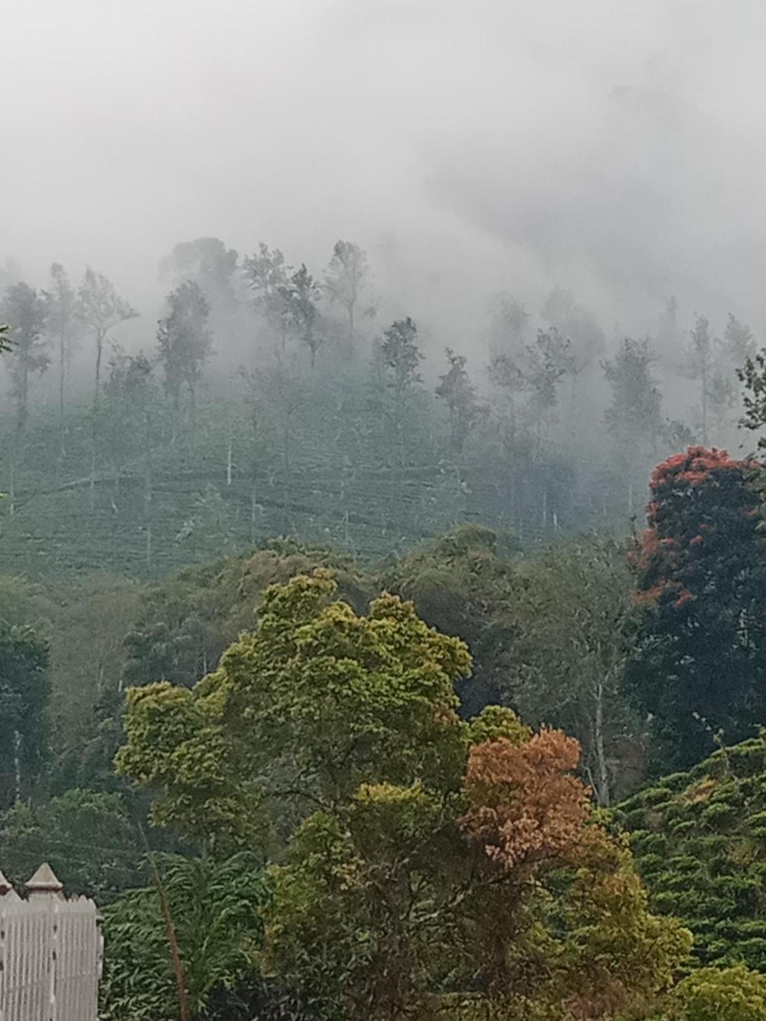 Village Nest 埃拉 外观 照片