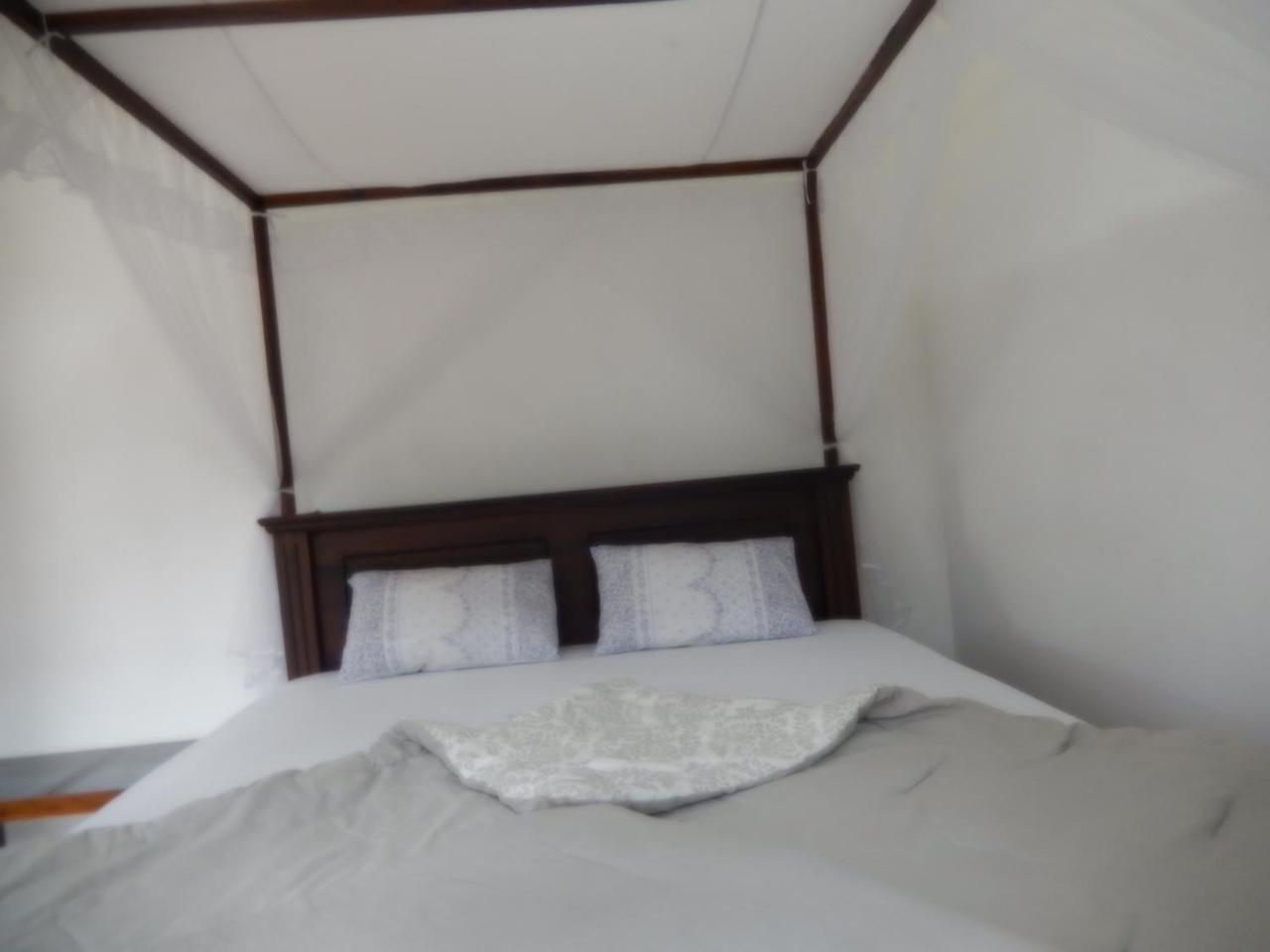 Village Nest 埃拉 外观 照片