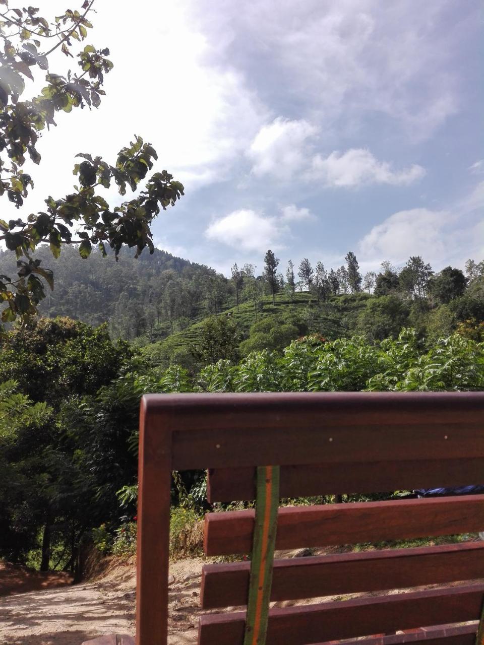 Village Nest 埃拉 外观 照片