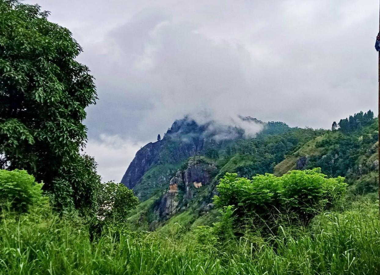 Village Nest 埃拉 外观 照片
